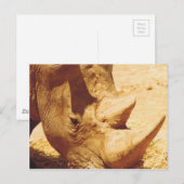 Rhinoceros-Liebe Postkarte (Vorne/Hinten)