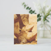 Rhinoceros-Liebe Postkarte (Stehend Vorderseite)