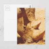 Rhinoceros-Liebe Postkarte (Vorne/Hinten)