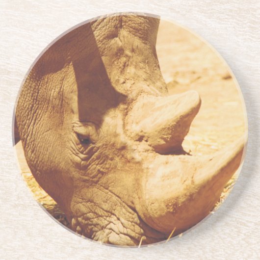 Rhinoceros-Liebe Sandstein Untersetzer (Vorne)