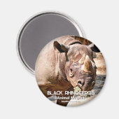 Rhinoceros Magnet (Vorderseite/Rückseite)