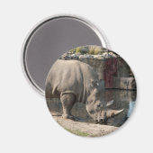 Rhinoceros Magnet (Vorderseite/Rückseite)