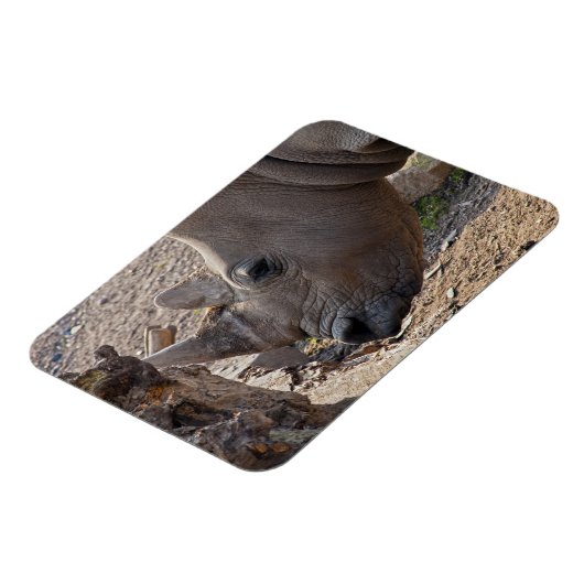 Rhinoceros Magnet (Linke Seite)