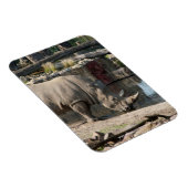 Rhinoceros Magnet (Rechte Seite)