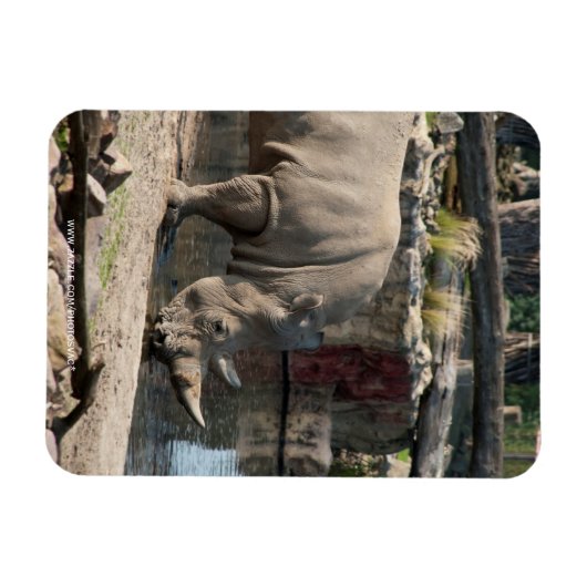 Rhinoceros Magnet (Horizontal)
