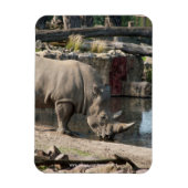 Rhinoceros Magnet (Vertikal)