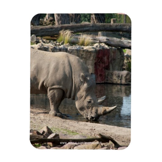 Rhinoceros Magnet (Vertikal)