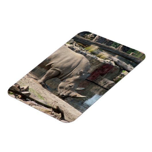 Rhinoceros Magnet (Linke Seite)