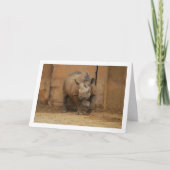 Rhinoceros Portrait Karte (Vorderseite)