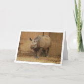 Rhinoceros Portrait Karte (Vorderseite)