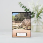 Rhinoceros Postcard Postkarte (Stehend Vorderseite)