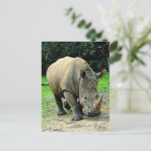 Rhinoceros Postcard Postkarte (Stehend Vorderseite)