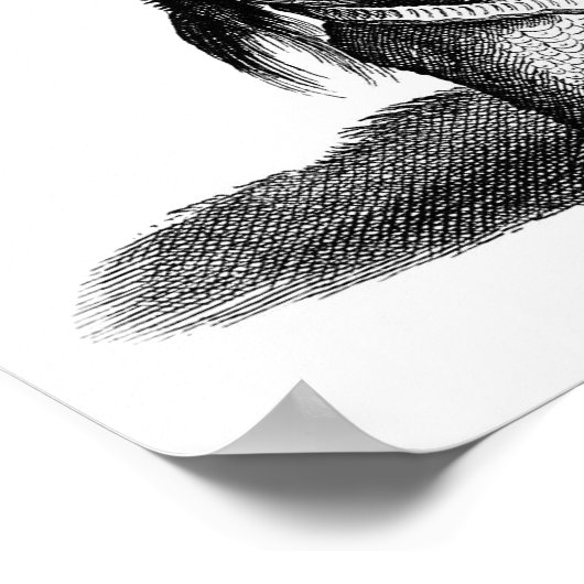 Rhinoceros Poster (Ecke)