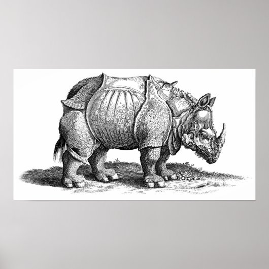 Rhinoceros Poster (Vorne)