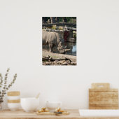 Rhinoceros Poster (Küche)