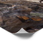 Rhinoceros Poster (Ecke)