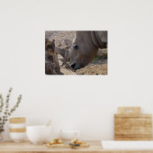 Rhinoceros Poster (Küche)