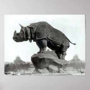 Rhinoceros Poster