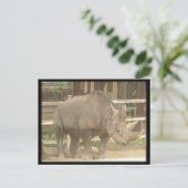 Rhinoceros Postkarte (Stehend Vorderseite)