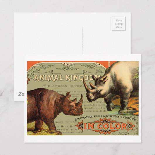 Rhinoceros Postkarte (Vorne/Hinten)