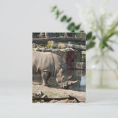 Rhinoceros Postkarte (Stehend Vorderseite)