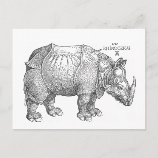 Rhinoceros Postkarte (Vorderseite)