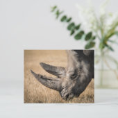 Rhinoceros Postkarte (Stehend Vorderseite)