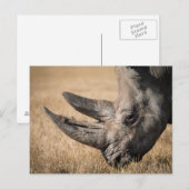 Rhinoceros Postkarte (Vorne/Hinten)