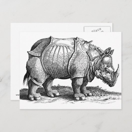 Rhinoceros Postkarte (Vorne/Hinten)
