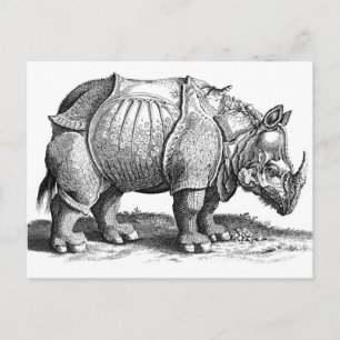 Rhinoceros Postkarte