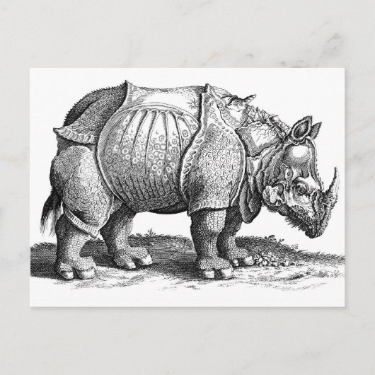 Rhinoceros Postkarte (Vorderseite)
