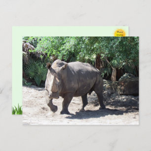 Rhinoceros Postkarte aufladen