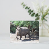 Rhinoceros Postkarte aufladen (Stehend Vorderseite)