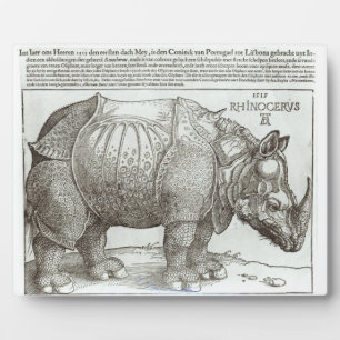 Rhinoceros, print given to Maximilian I (1459-1519 Fotoplatte