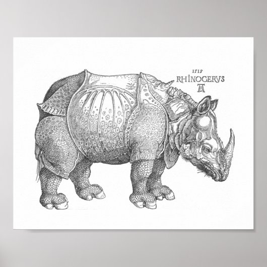 Rhinoceros Print Poster (Vorne)