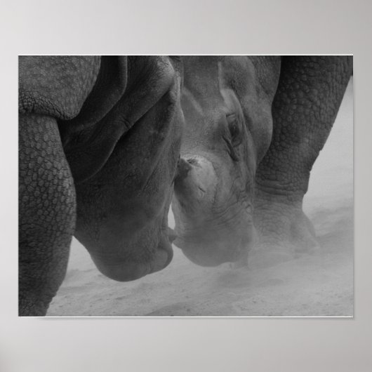 Rhinoceros Settling Poster (Vorne)