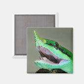 Rhinoceros Snake Magnet (Vorderseite/Rückseite)