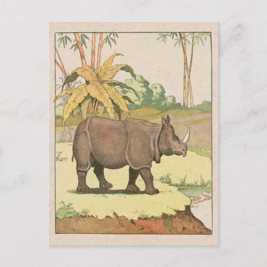 Rhinoceros Story Book Zeichnend Postkarte (Vorderseite)