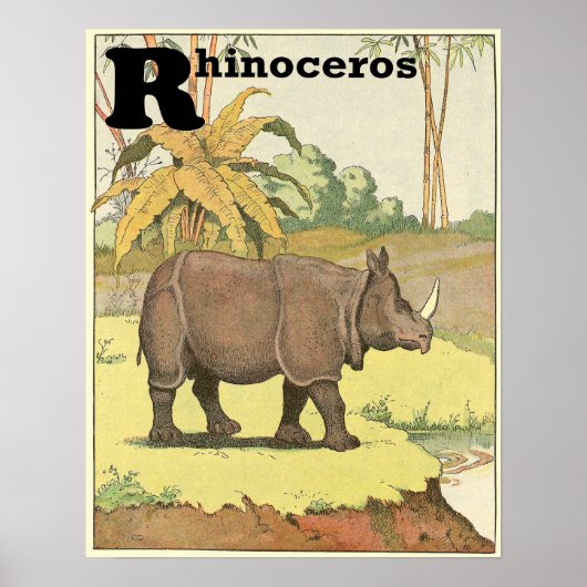Rhinoceros Storybook Alphabet Poster (Vorne)