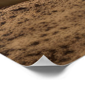 Rhinoceros Tierart Majestic Wild Poster (Ecke)