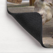 Rhinoceros unicornis mousepad (Ecke)