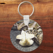 Rhinoceros viper schlüsselanhänger (Vorderseite)