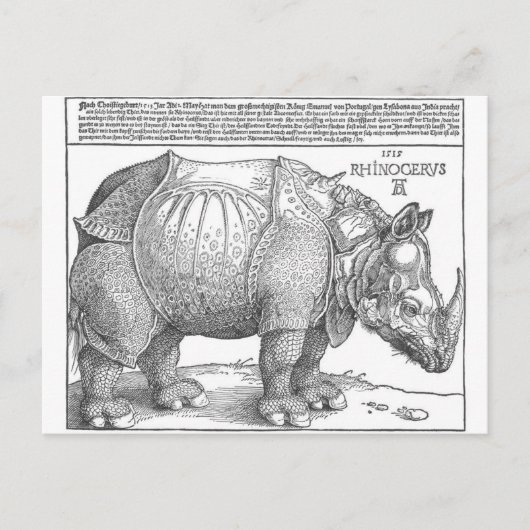 Rhinoceros von Albrecht Durer Postkarte (Vorderseite)