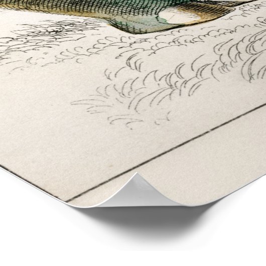 Rhinoceros von Oliver Goldsmith Poster (Ecke)