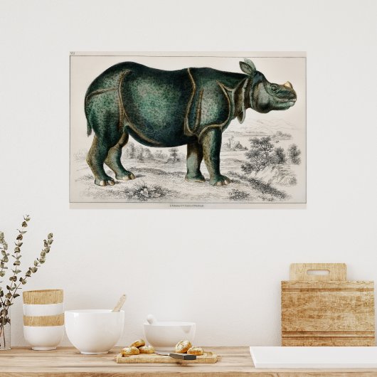 Rhinoceros von Oliver Goldsmith Poster (Küche)