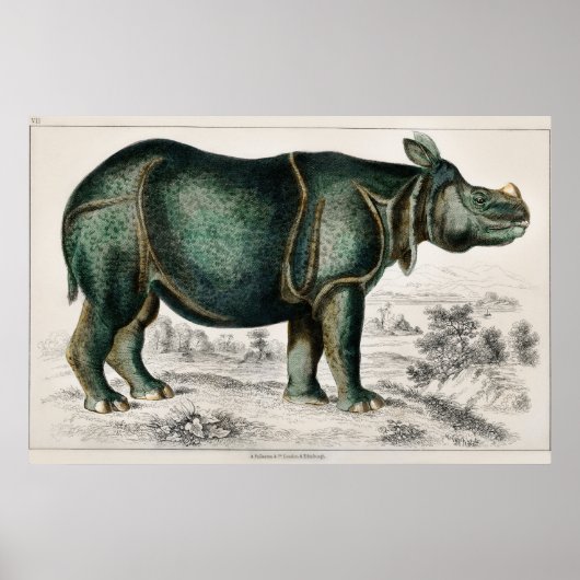 Rhinoceros von Oliver Goldsmith Poster (Vorne)