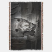Rhinoceros: Wildtierportrait. Decke (Vorderseite Vertikal)