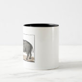 Rhinoceros Zweifarbige Tasse (Mittel)