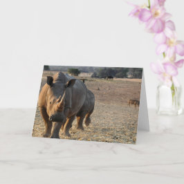 Rhinokarte Karte