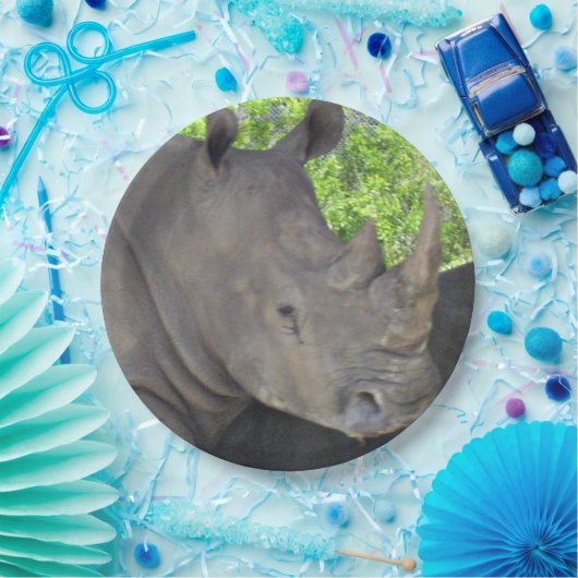 Rhinos Gesicht Pappteller (Party)